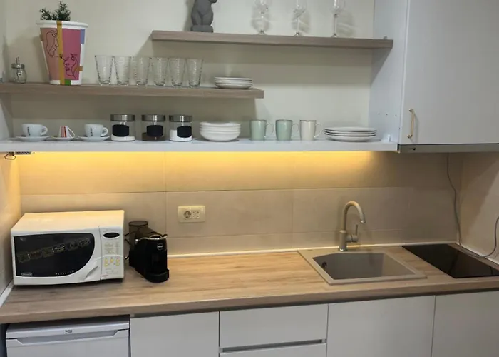 Dora With Terrace And Parking Podgorica